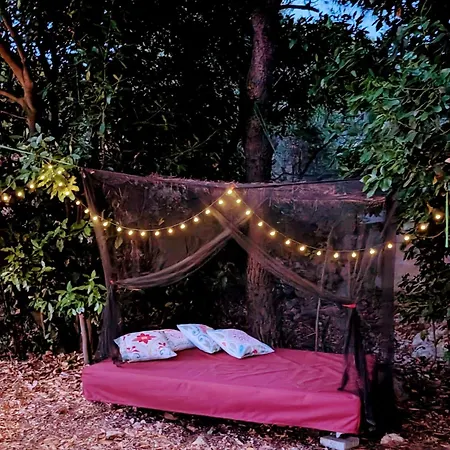 Stone House Bella Tatil Evi Murter